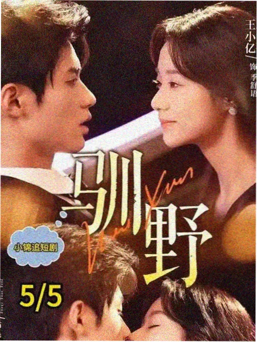 青苹果影院电视剧长街北望海报